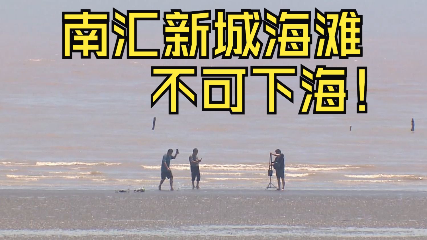 南汇新城海滩为生态海滩 不可下海
