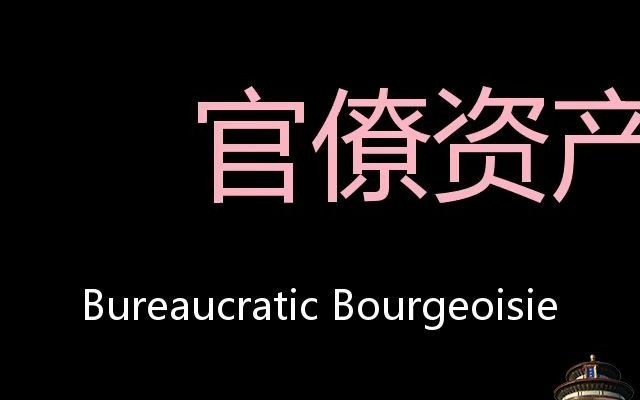 官僚资产阶级 Chinese Pronunciation Bureaucratic bourgeoisie哔哩哔哩bilibili