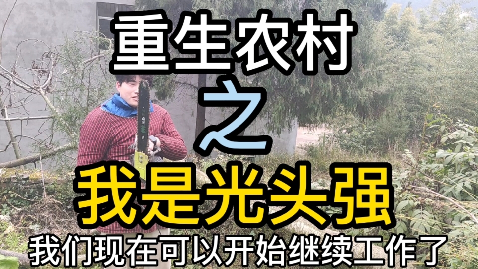 重生农村之我是光头强哔哩哔哩bilibili