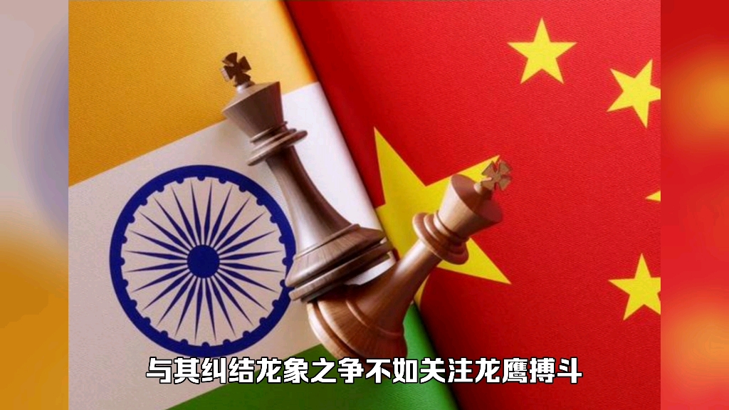 与其纠结龙象之争不如关注龙鹰搏斗