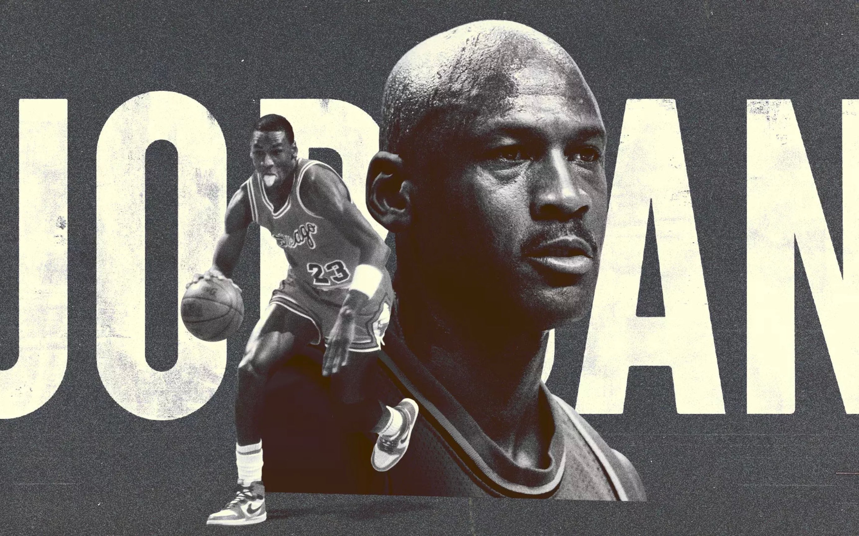 乔丹纪录片《伴我飞翔》中文字幕 1080p蓝光