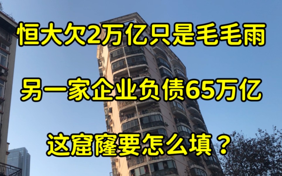 恒大欠2万亿只是毛毛雨,另一家企业负债65万亿,这窟窿要怎么填?哔哩哔哩bilibili