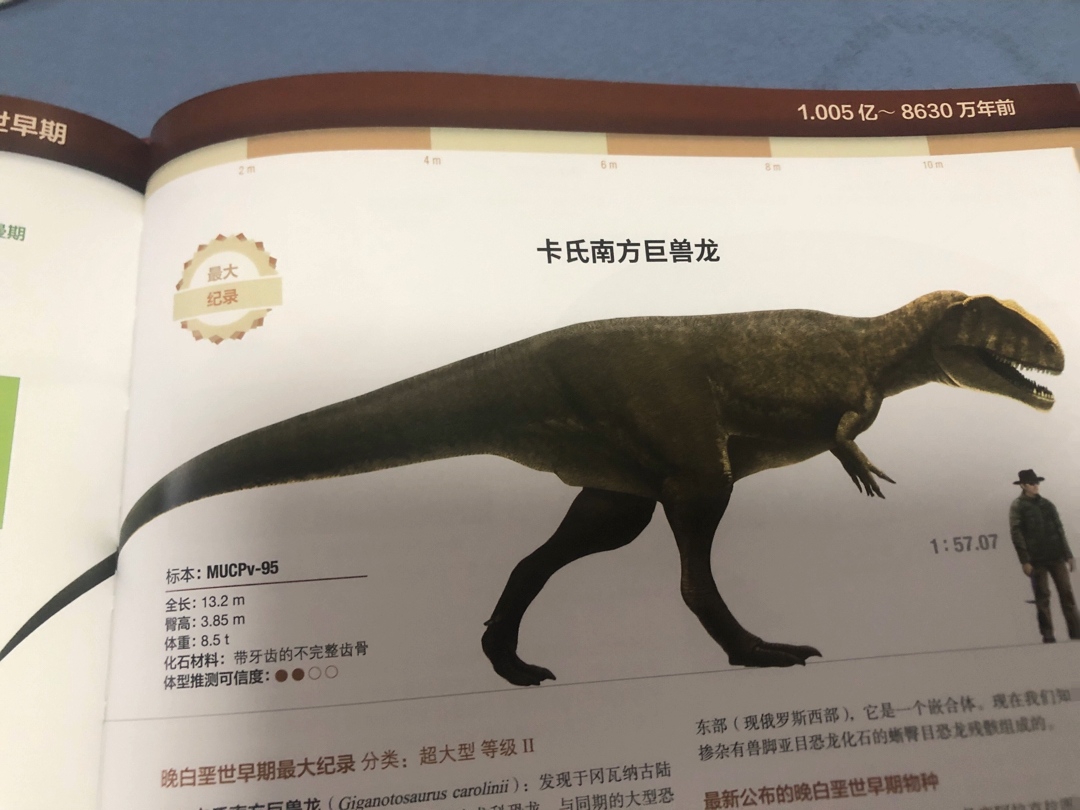 兽脚类恐龙大图鉴