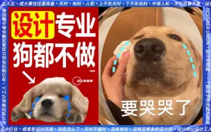 Descargar video: 【工业设计】设计专业，狗都不学！但...