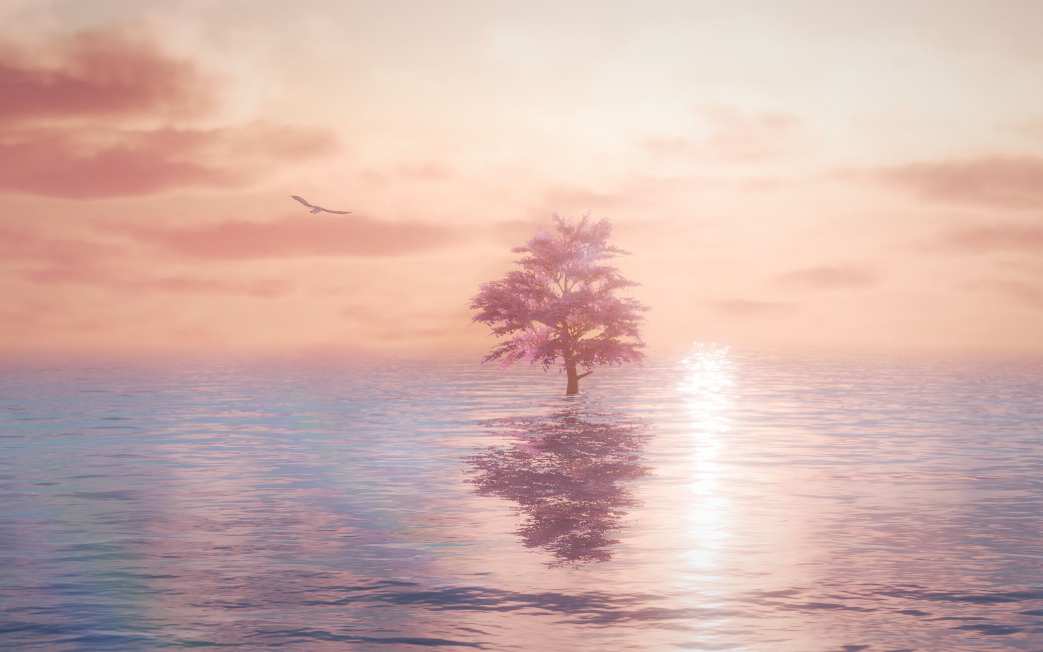 【剑网三】《花雨落》(mv风景向)