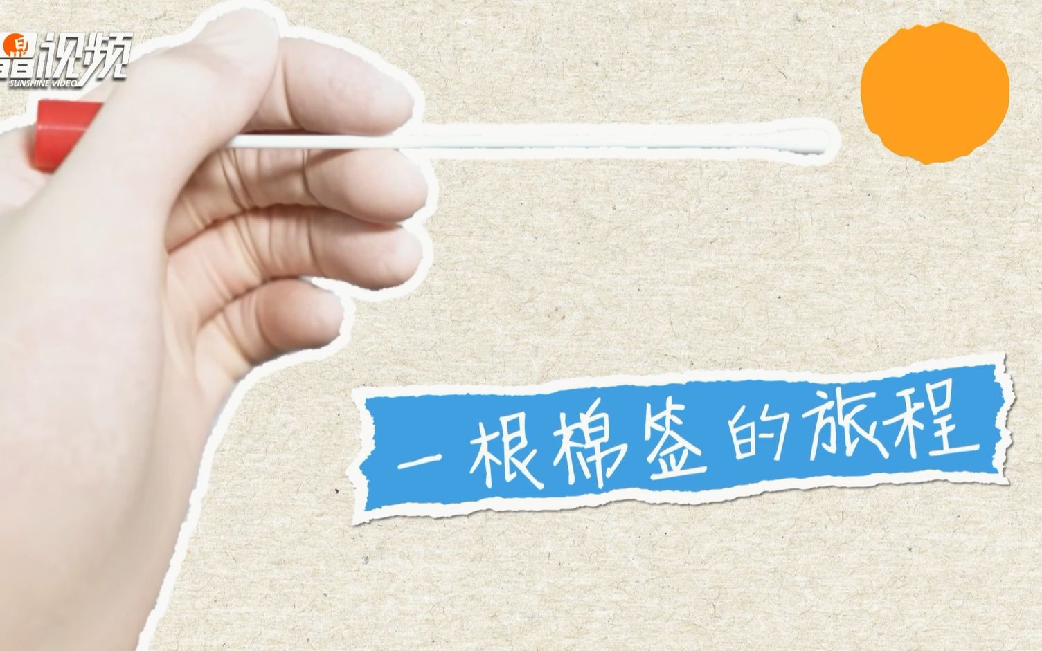 一根棉签的旅程
