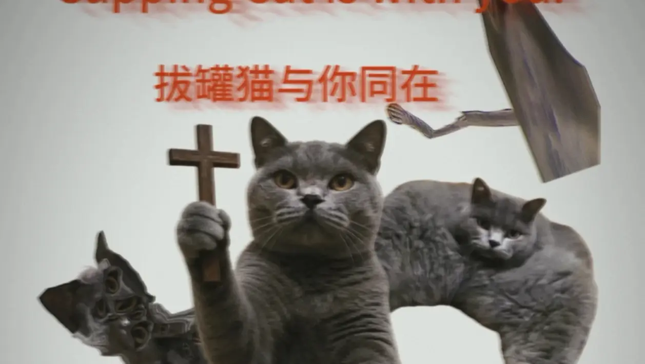 bilibili bilibili