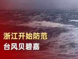 Descargar video: 浙江开始防范台风贝碧嘉