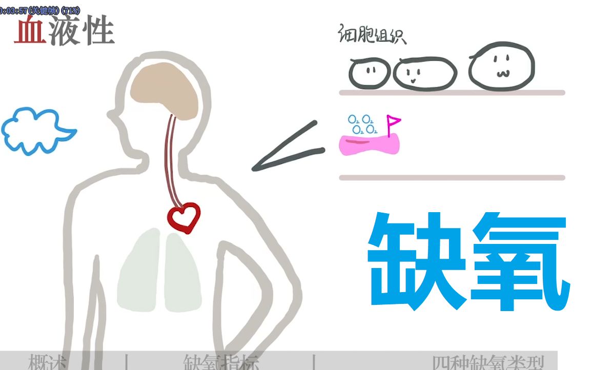 【病生三分钟】缺氧:红紫咖啡白,缺氧时皮肤会是啥颜色?低张性/血液性/循环性/组织性缺氧,有什么不同?哔哩哔哩bilibili