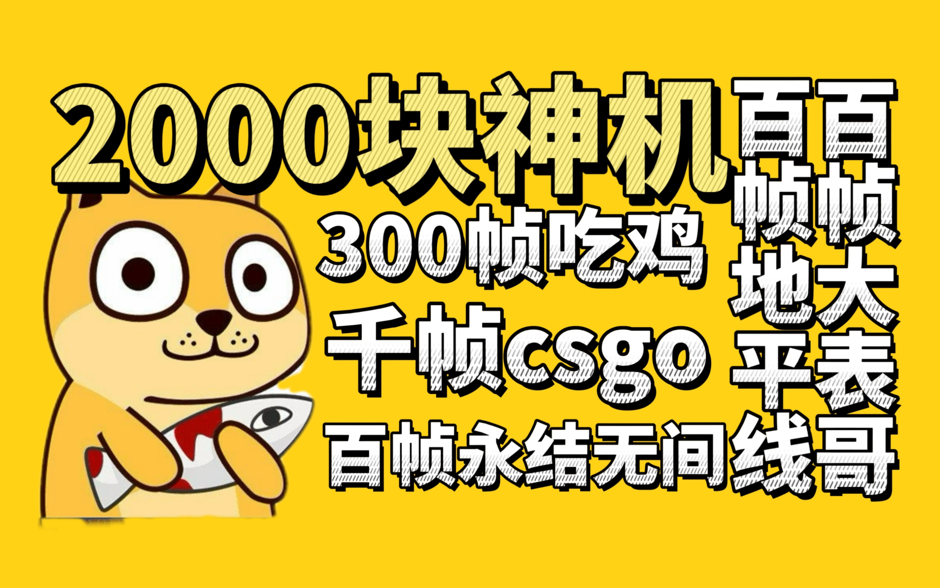 2000块神机,300帧吃鸡,近千帧csgo,百帧高画质永结,百帧大表哥哔哩哔哩bilibili