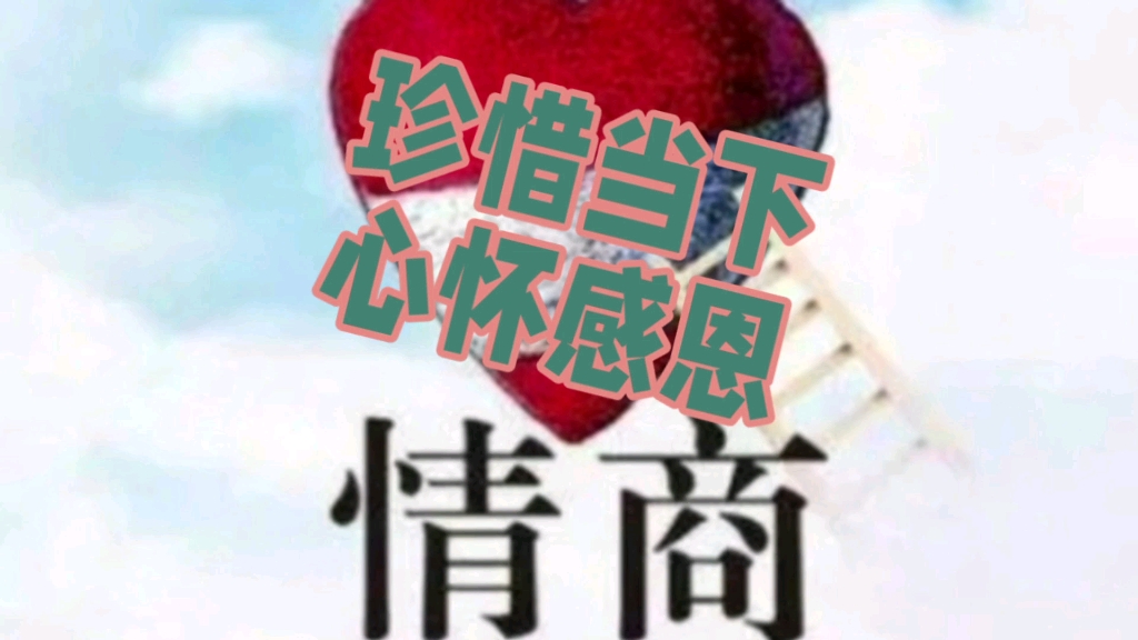 珍惜当下心怀感恩哔哩哔哩bilibili