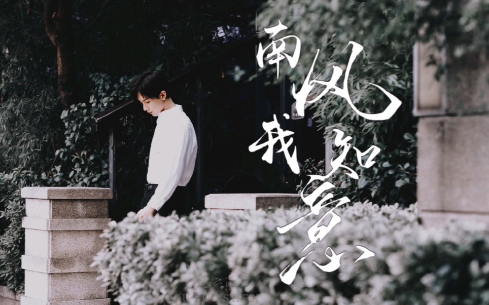 南风知我意,云深不知处‖成毅|傅云深