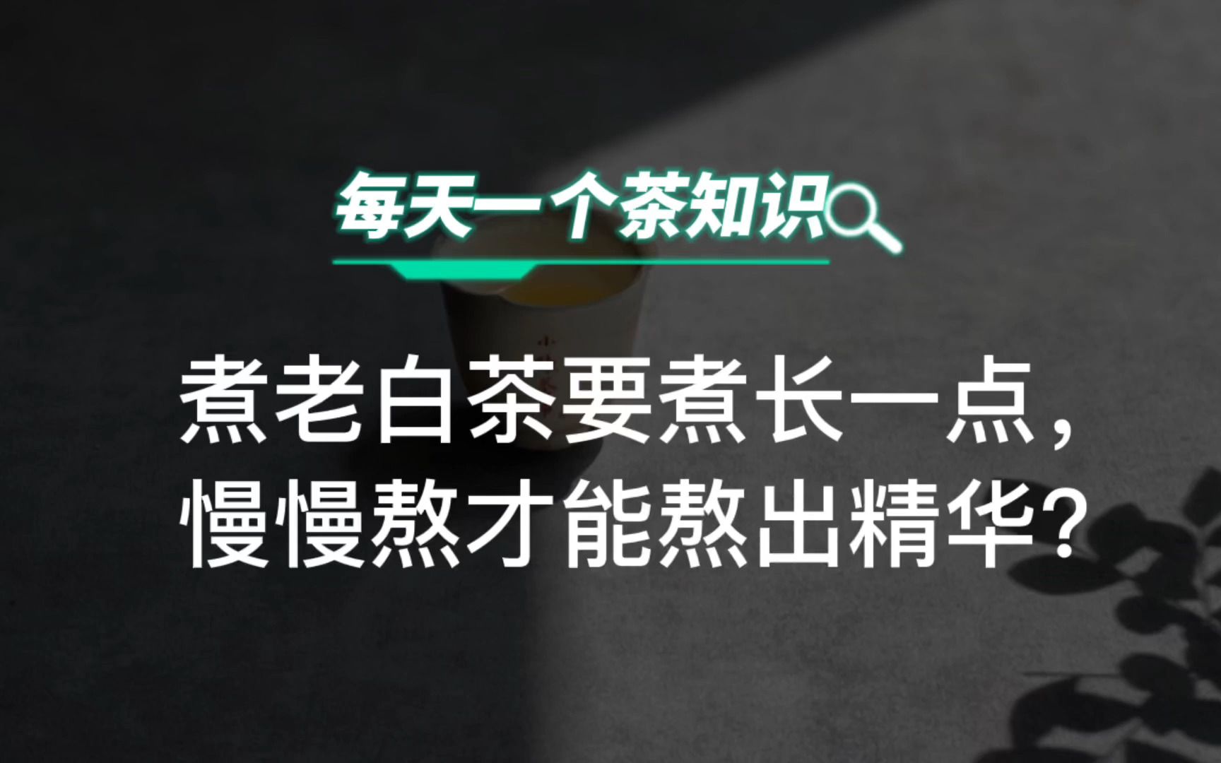 煮老白茶时,时间要煮长一点,这样才能煮出精华?哔哩哔哩bilibili