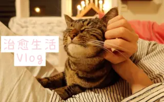 北欧早餐 搜索结果 哔哩哔哩 Bilibili