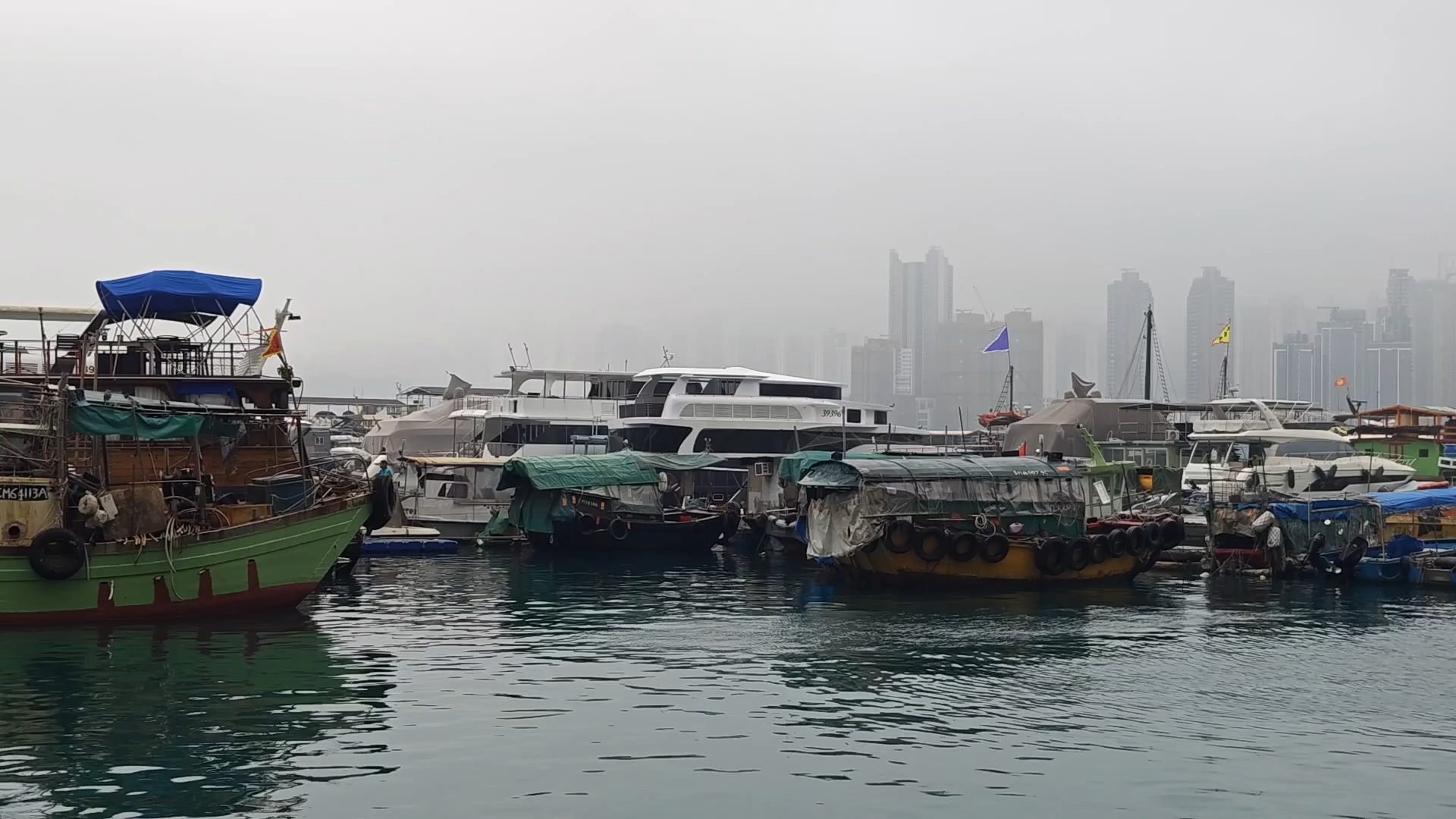 【都市纪实十分钟】香港避风港2403哔哩哔哩bilibili