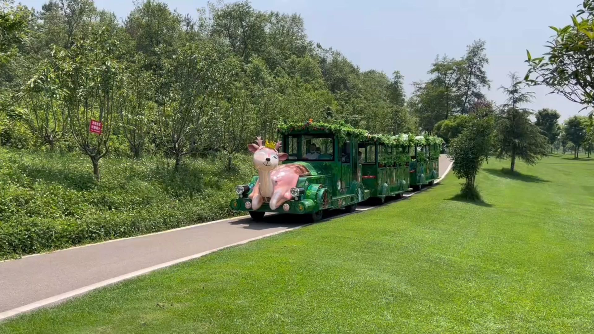 一個契合森林主題的旅遊觀光車-36-48座電動觀光小火車