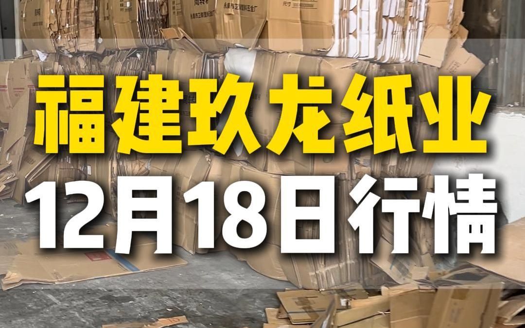 12月18日福建泉州玖龙纸业今日行情参考哔哩哔哩bilibili