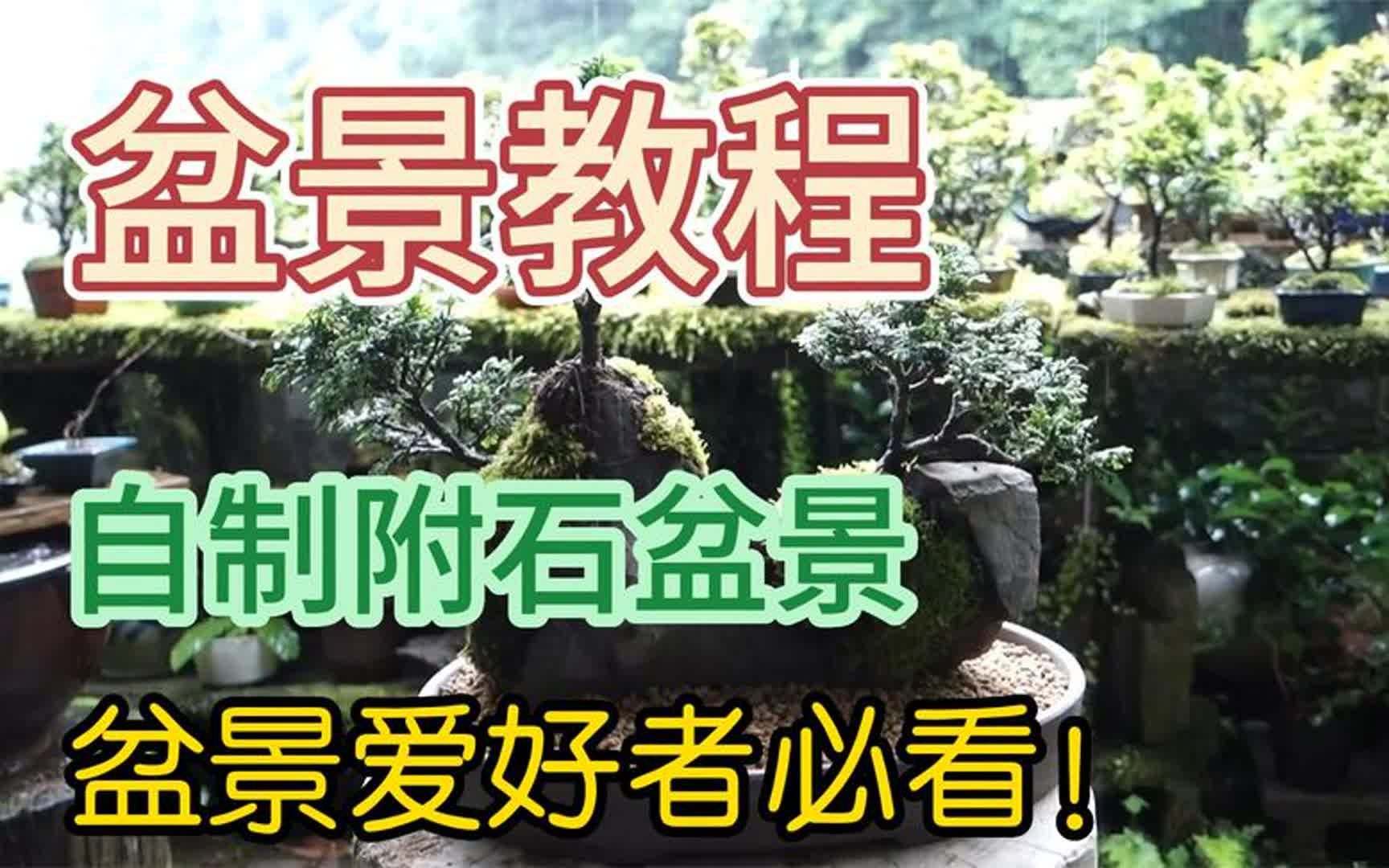 盆景教程!自制附石盆景,简单易学,盆景爱好者必看!哔哩哔哩bilibili