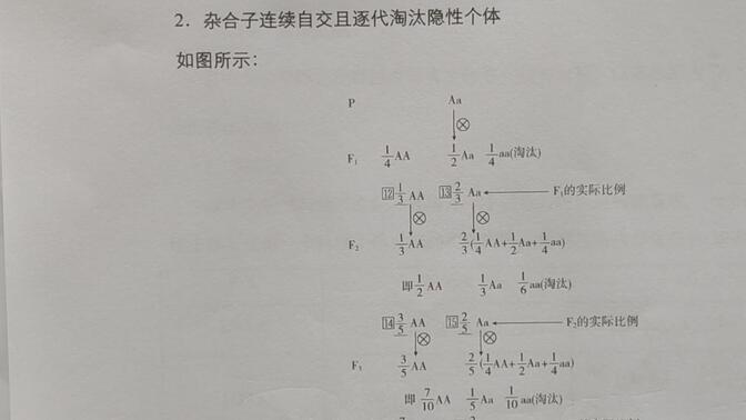 双杂合子自交遗传图解图片