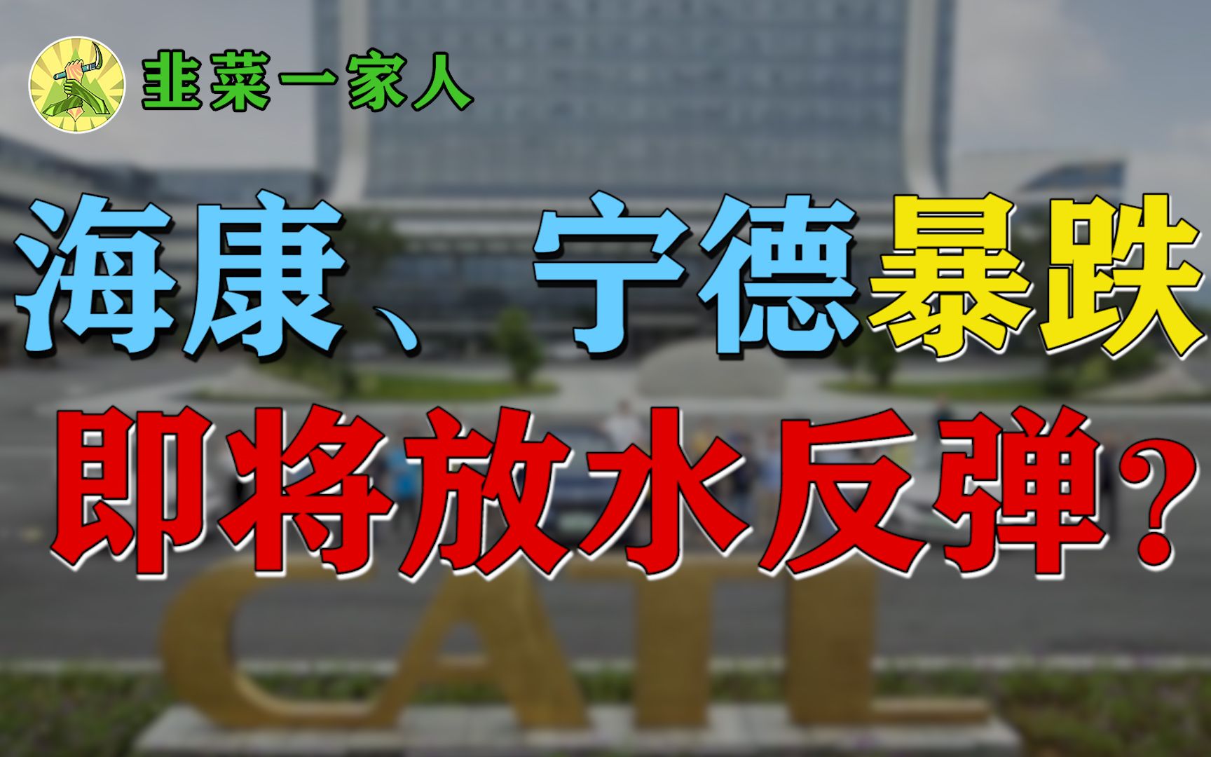 【韭哥复盘】疫情拐点明确,即将放水反弹了~宁德时代和海康威视暴跌,怎么回事?哔哩哔哩bilibili