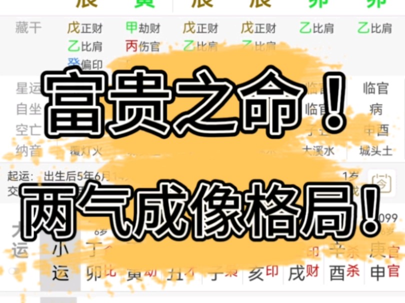 八字案例解析:富贵之命!两气成像身财两旺的格局.哔哩哔哩bilibili