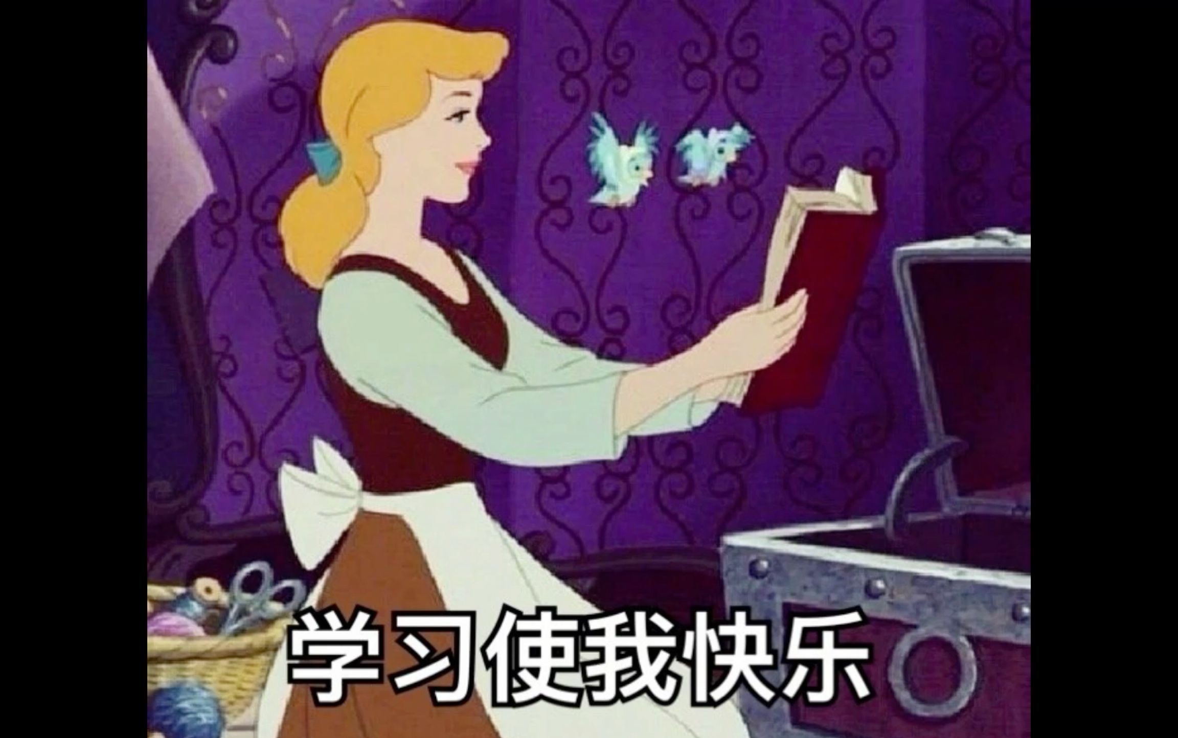 背毛概不痛苦～看看吧