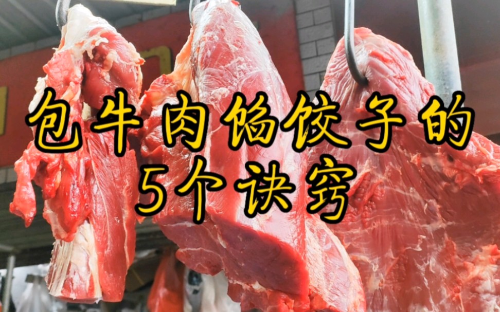 包牛肉馅饺子,这5个诀窍一定要掌握,学会饺子馅不腥不柴香喷喷!哔哩哔哩bilibili