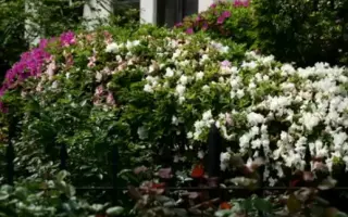 二葉あき子 搜索结果 哔哩哔哩 Bilibili