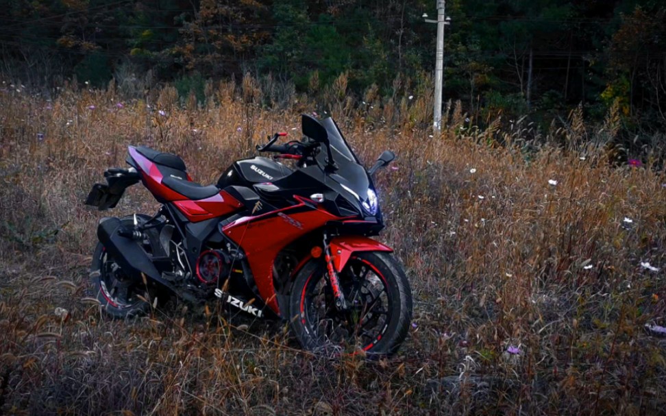 gsx250黑红色平民盆栽组改装方案参考