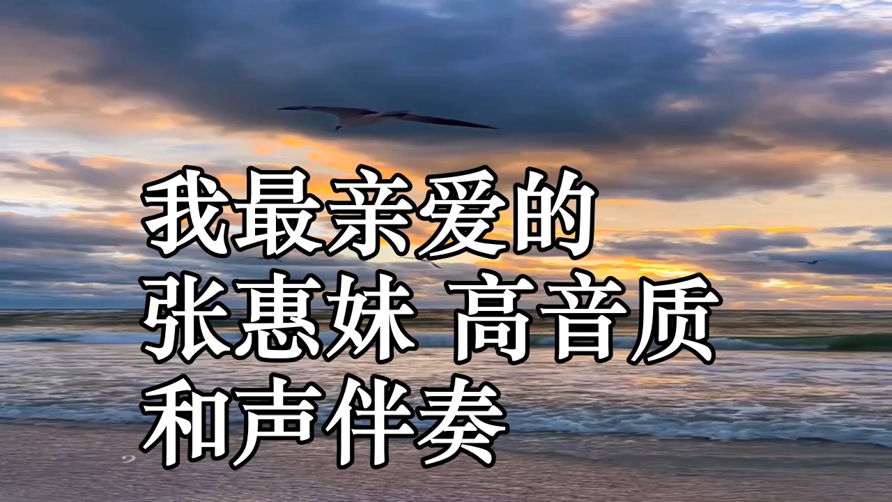 我最亲爱的 张惠妹 高音质 和声伴奏