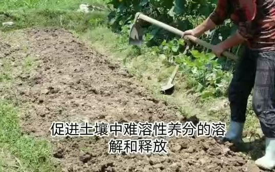 为什么要用微生物菌肥?微生物菌肥有什么作用?哔哩哔哩bilibili