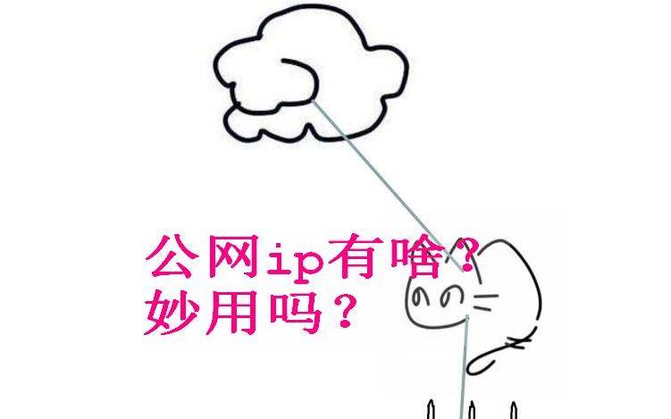 公网IP可以给宽带提速吗?哔哩哔哩bilibili