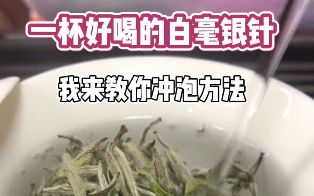 白毫银针怎么冲泡才好喝?看完冲泡视频就懂了哔哩哔哩bilibili