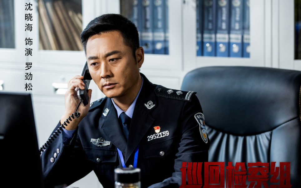 沈晓海巡回检查组罗劲松cut第10集