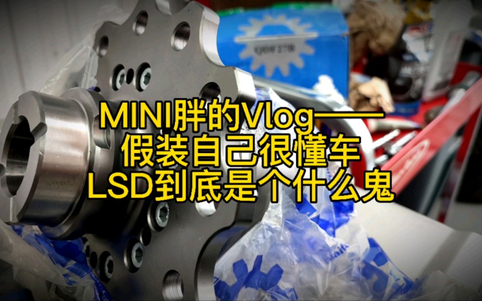 MINI胖的Vlog——假装自己很懂车 LSD到底是个什么鬼哔哩哔哩bilibili