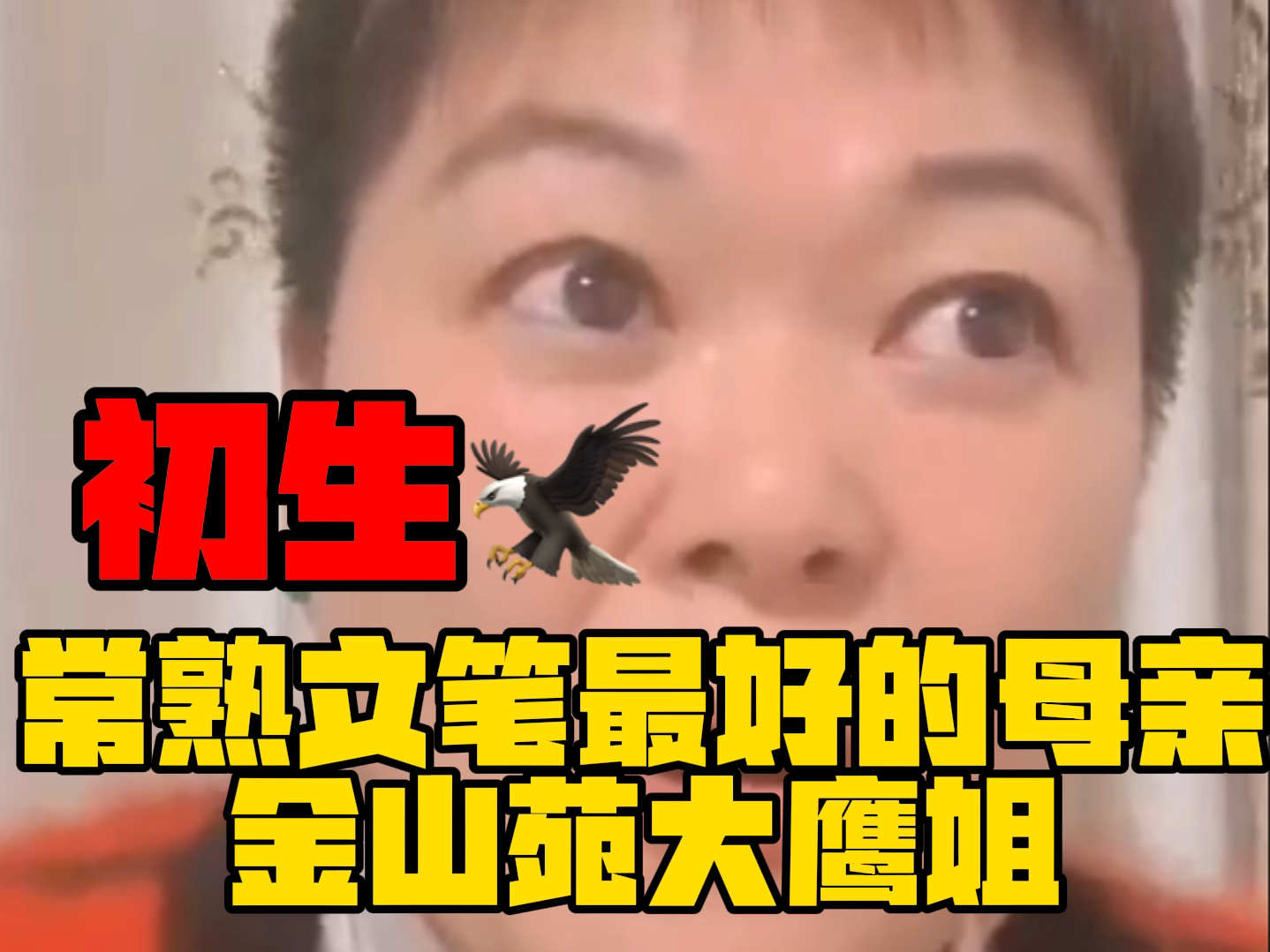 常熟文笔最好的母亲金山苑大鹰姐