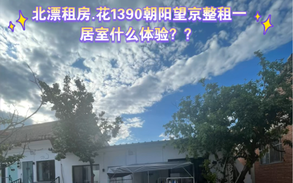 北漂租房.花1390在望京整租一居太值了.!!!!!哔哩哔哩bilibili