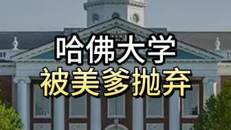 哈佛大学被美爹抛弃