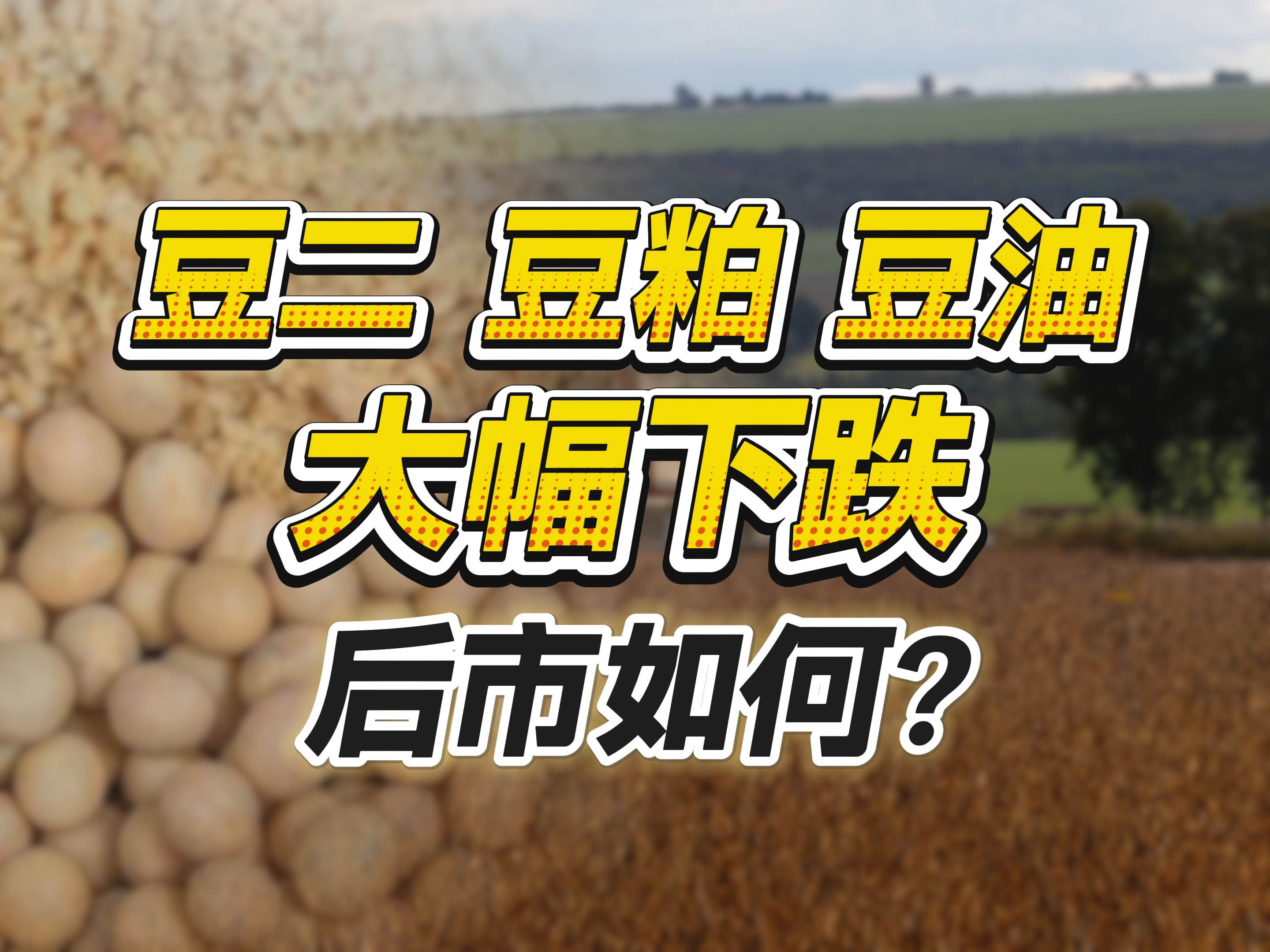 豆二、豆粕、豆油大幅下跌,后市如何?哔哩哔哩bilibili