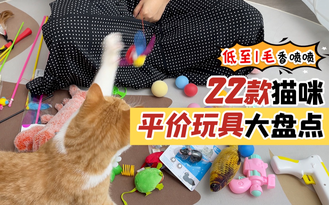 猫玩具测评!好用不贵低至1毛哔哩哔哩bilibili