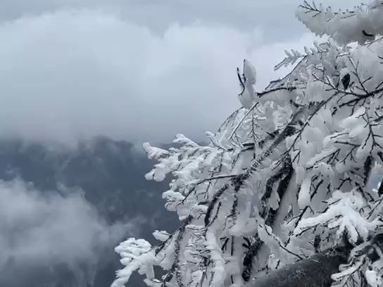 原神玩家遊張家界天門山雪景