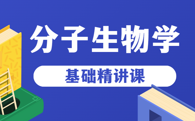 分子生物学 朱玉贤现代分子生物学哔哩哔哩bilibili