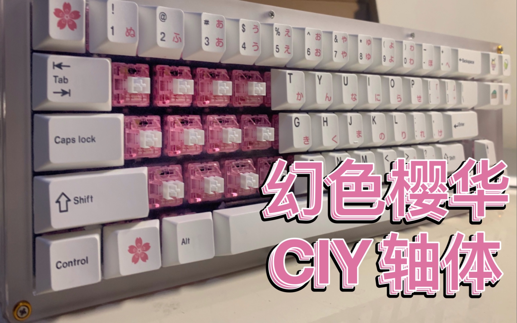 【轴体测评】CIY 白女票 的幻色樱华轴体上手体验!当轴座专利厂家下场做轴 结尾实拍打字音测试哔哩哔哩bilibili