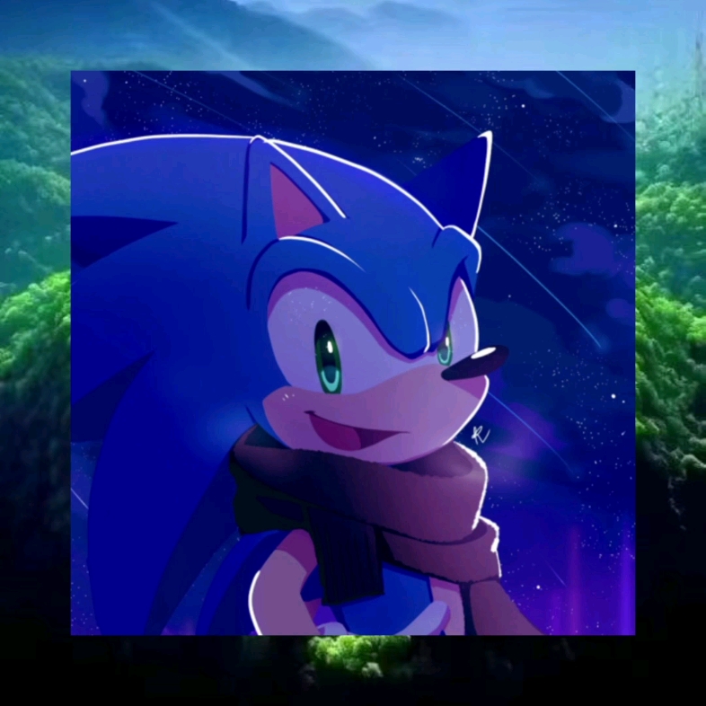 索尼克—se09orita x sonic shadow sonadow (边框版)