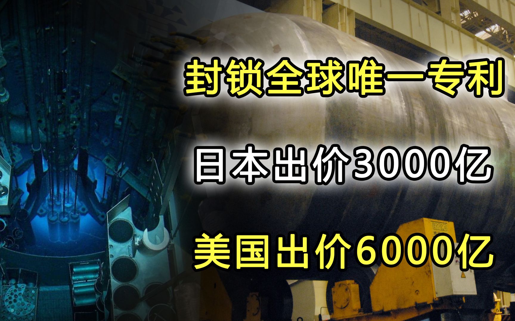 封锁全球唯一专利,日本出价3000亿求购,美国出价6000亿被拒哔哩哔哩bilibili