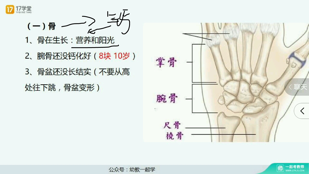 幼儿生长发育特点与卫生保健哔哩哔哩bilibili