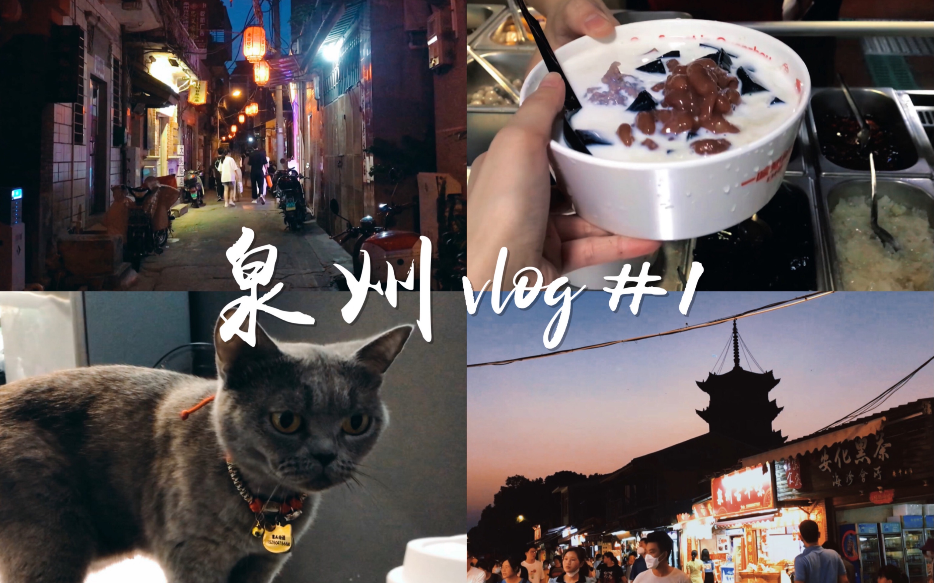 VLOG#6 | 鲤城日记 | 一个人在泉州的义工旅行 | 一个不深不浅的夏天的开端哔哩哔哩bilibili