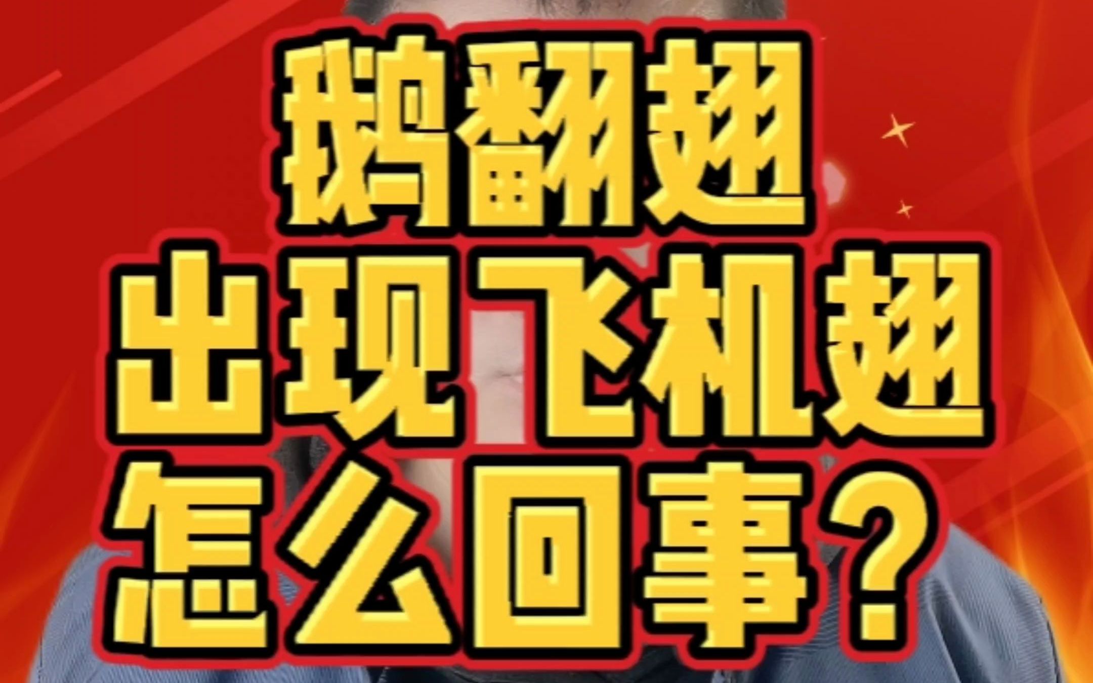 鹅翻翅,出现飞机翅怎么回事? 鹅翻翅,出现飞机翅什么原因? 鹅翻翅,出现飞机翅该怎么办?哔哩哔哩bilibili