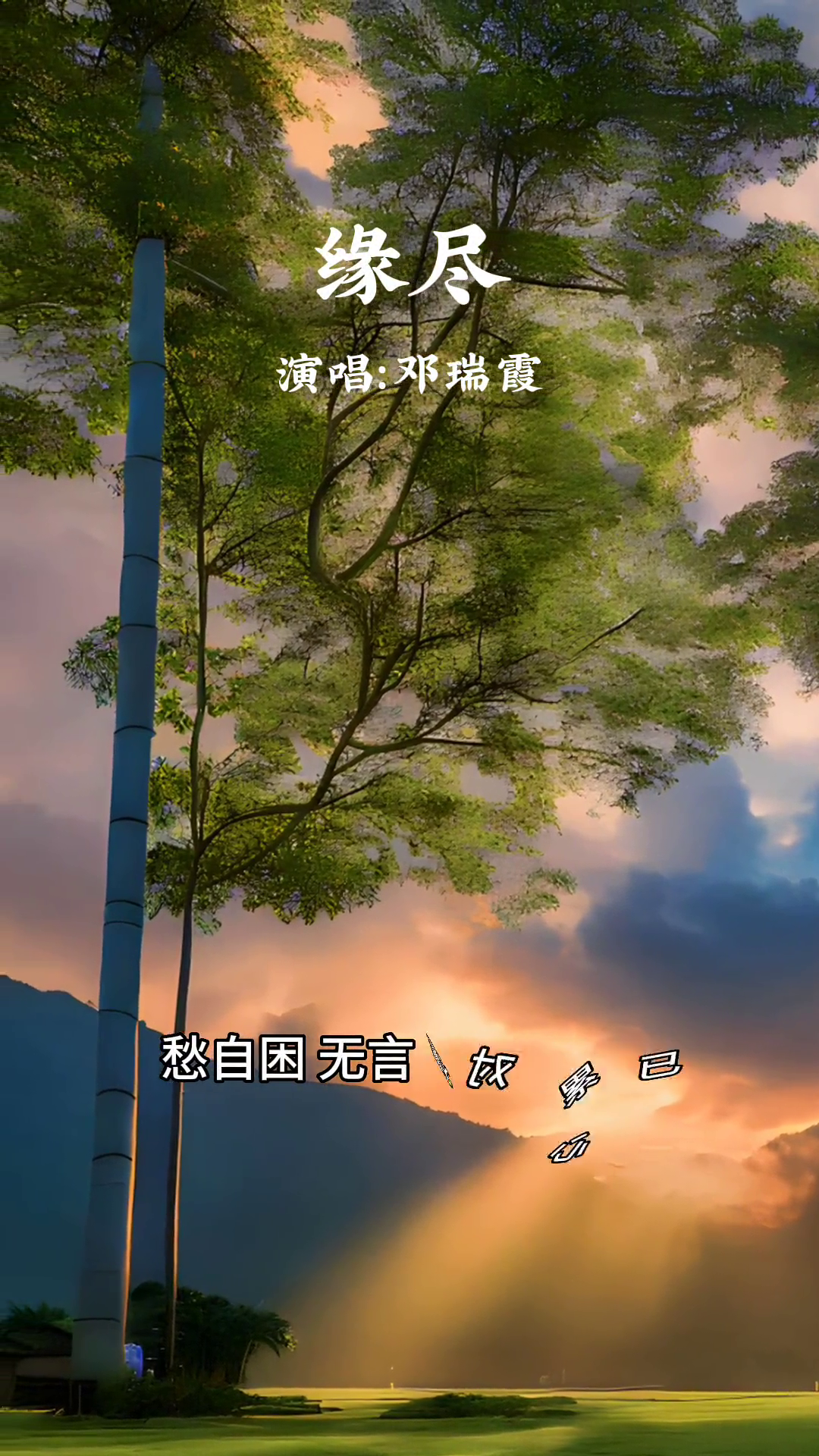 无缘无份 B站