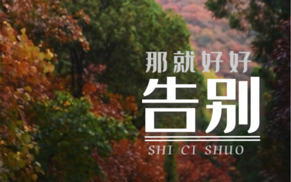 那就好好告个别吧.